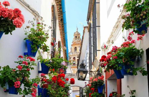 Apartamento Plaza La Merced Vistas Impresionantes - Foto 18