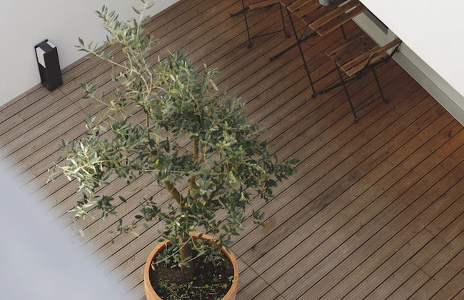 RIBEIRA FLORES 59 Downtown Apartments - Foto 67