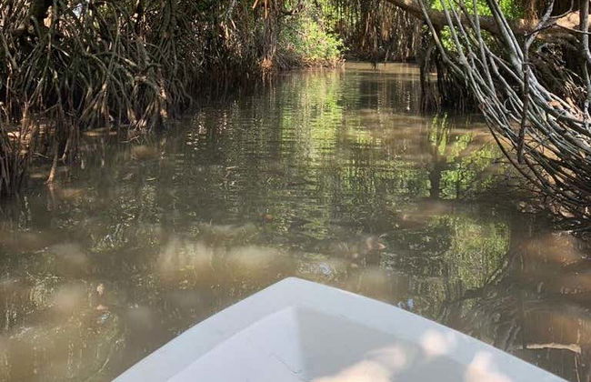 Passeio de barco pelos manguezais de Bentota - Foto 2