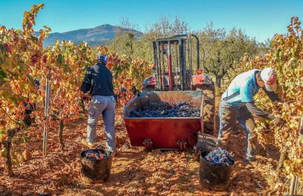 Apartamentos Casalarreina - Foto 111