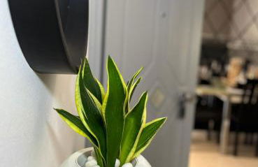 Diamond City Lux Apartment - Photo 28