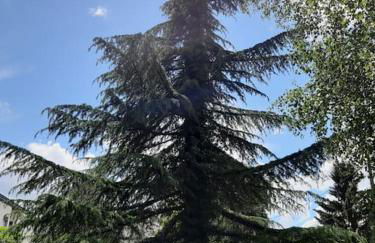 2 Soundproof Fully Equipped Studios near Geneva Airport - Foto 22