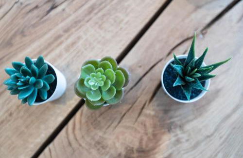 Résidence Saint Cyprien Plage - Foto 29