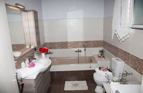 Irini's Traditional Kefalonian House - Foto 3