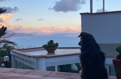 Ippocampo Blanc - Foto 46