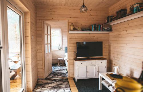 sosnowelowe - Foto 38