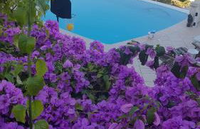 Roc Maria Lucia - Photo 52