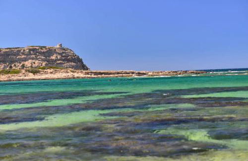 Casa Campedinese - Foto 37