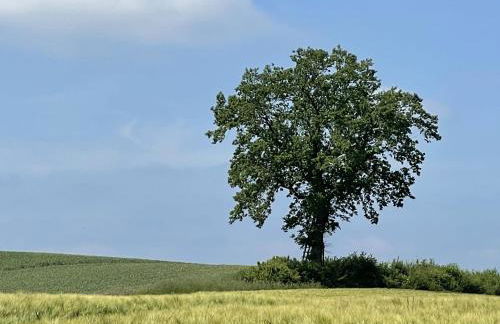 Lakeside Comfort with Balcony - Foto 35