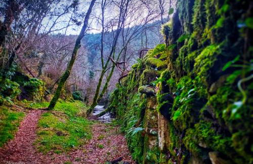 A Casiña do Anselmiño - Foto 26