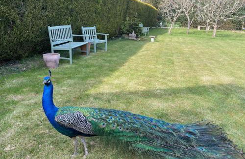 Bedgebury Forest Barn - next to Bedgebury Forest - Foto 36
