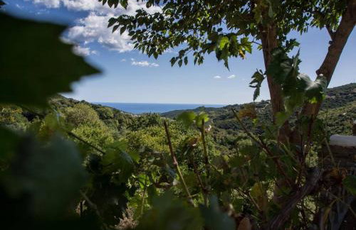 Mansion Philoktitis - Foto 37