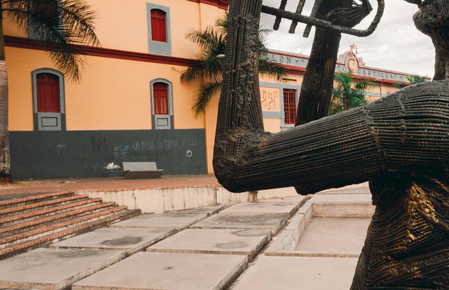 Tour di Ibagué con biglietti - Foto 1