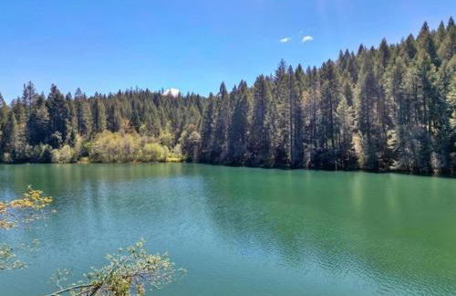 Lakefront Chalet Nevada City - Foto 7