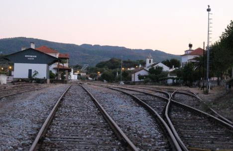 Tapada da Rabela - Reserva Natural - Foto 51