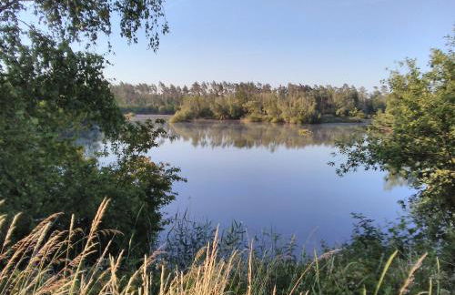 Das kleine Lavendelhaus - Foto 34