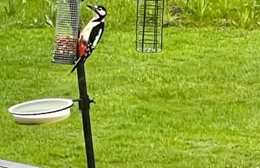 Orchard View Lodge - Foto 17