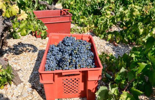 Holiday Home Biserka - Photo 18