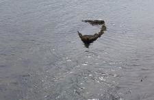 Ático Pequeño Paraíso Combarro - Photo 55