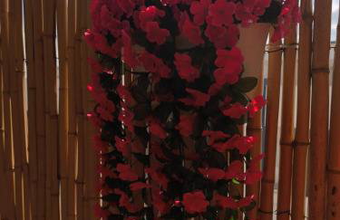 Suite Maison Tropical 2 - Apulian Experience - Foto 5