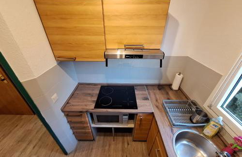 Elbidylle Ferienwohnung in Barby am Elberadweg - Foto 10