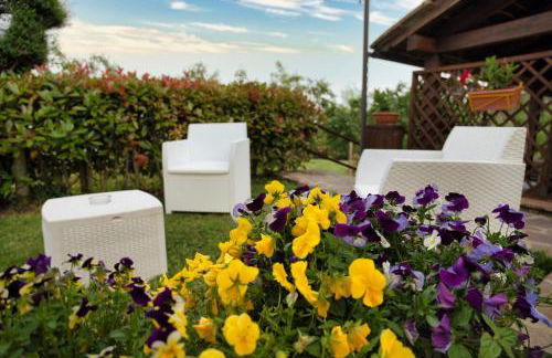 Agriturismo Biagiotti - Foto 11