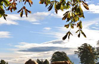 Appartements Apfelblüte - Foto 34