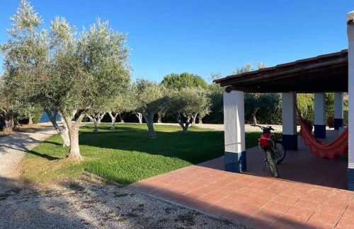 Casa das Oliveiras - Foto 37