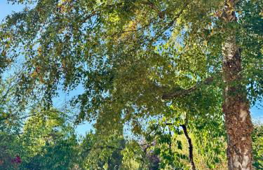 La Maison d'Eugène, Rennes centre - Photo 40