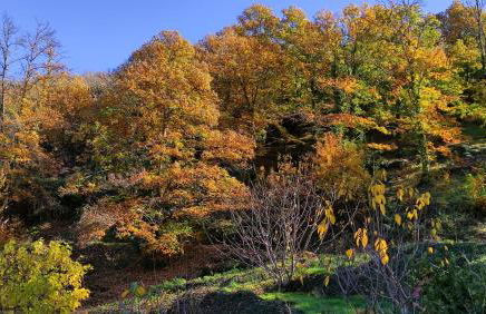 Dùplex Argollas Grand Suite Centro Parking gratis - Foto 63