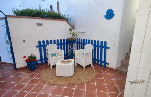 Pino Marino - Foto 7