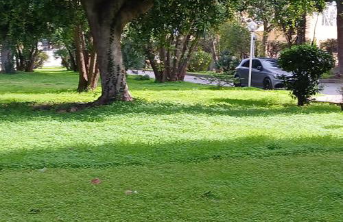 Maison Du Parc - Foto 16