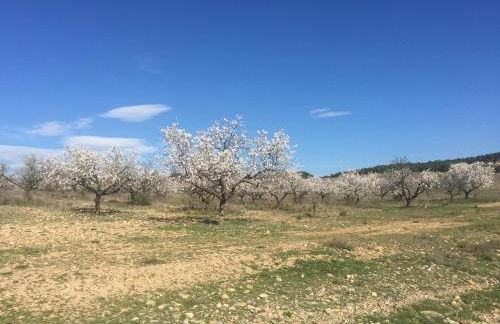 Apartamento El Estrecho de Arguedas - Foto 31