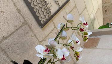 Largo Spani 17 - Foto 5