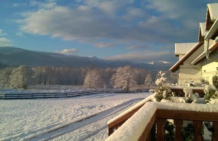 Wysokie Łąki domki w górach - Foto 57