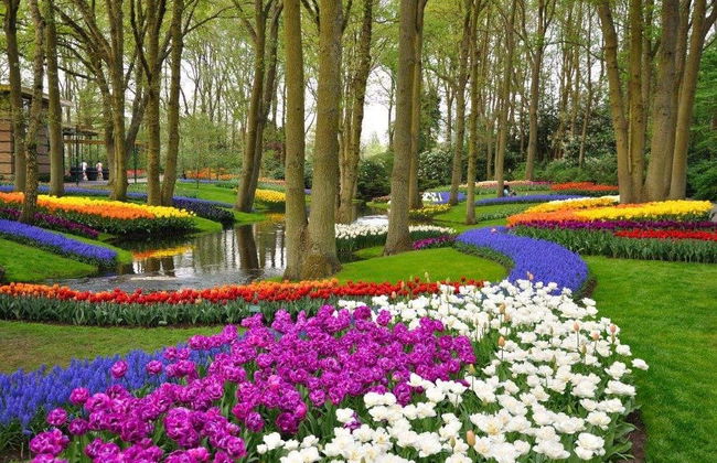 Keukenhof & Delft Day Trip - Foto 3
