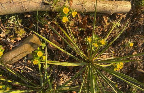 Apartment Altes Pastorenhus by Interhome - Foto 46