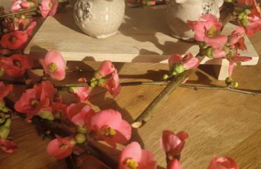 Maison de Coton Ty Koton - Foto 24