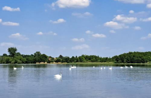 Apartment Kletterrose, Seenähe, Mecklenburgische Seenplatte - Foto 21