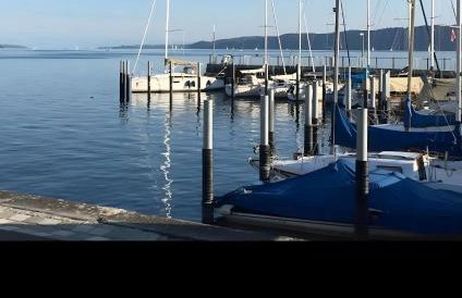 Ferienwohnung Seescheune - Foto 13