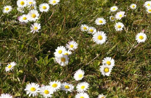 Captain Baack - Foto 29