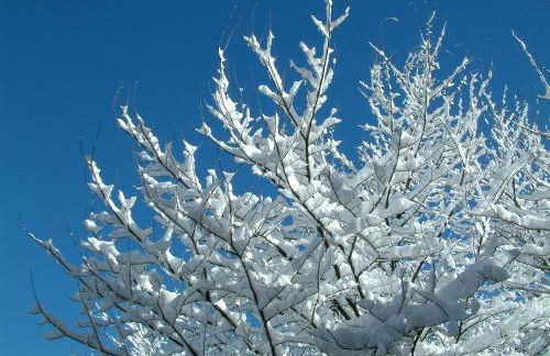 La Ladera - Photo 45