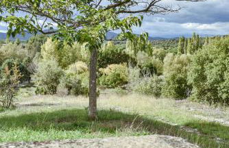 MAS COURADOU - Foto 16