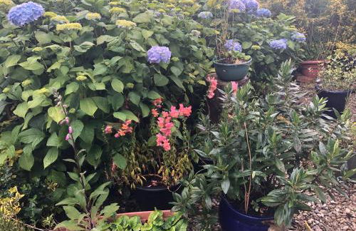 PondeROSEa Cottage Free Gated Parking M1 & City location, wood stove - Foto 5