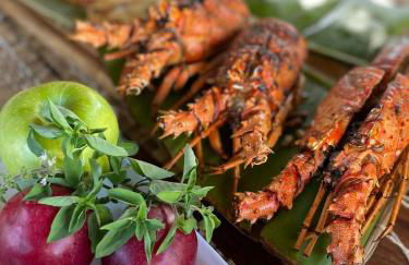 VILA PITHAYA - Casa Jambo Rosa - Foto 37