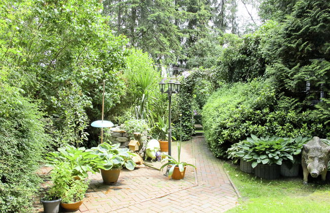 von Dollen - Foto 25