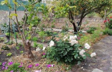 Casa Rossa Solenzara - Foto 9