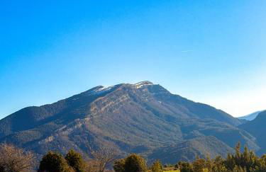 As Fuebas de Patricio - Foto 7