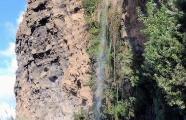 Anjos's Choice - Foto 35