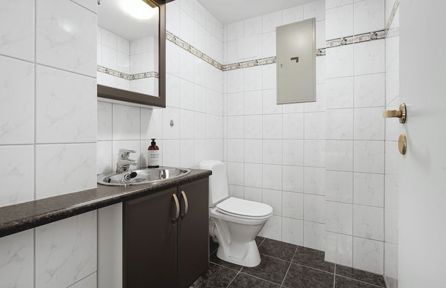 Arctic Homes - Downtown Penthouse - Photo 17